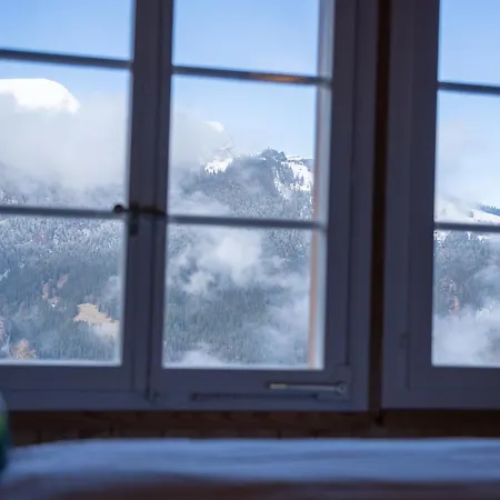 Apartment Schweizerhof Attic *