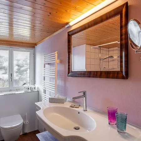 Schweizerhof Attic *