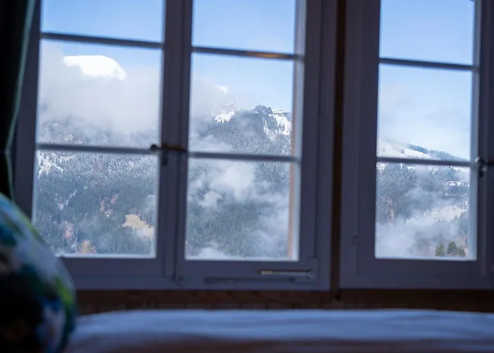 Apartment Schweizerhof Attic *