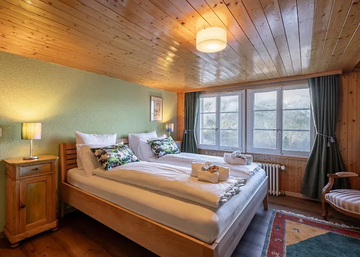 Apartment Schweizerhof Attic *